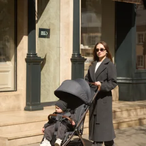 Прогулянкова коляска El Camino ME 1192 AXIS Volcanic Gray